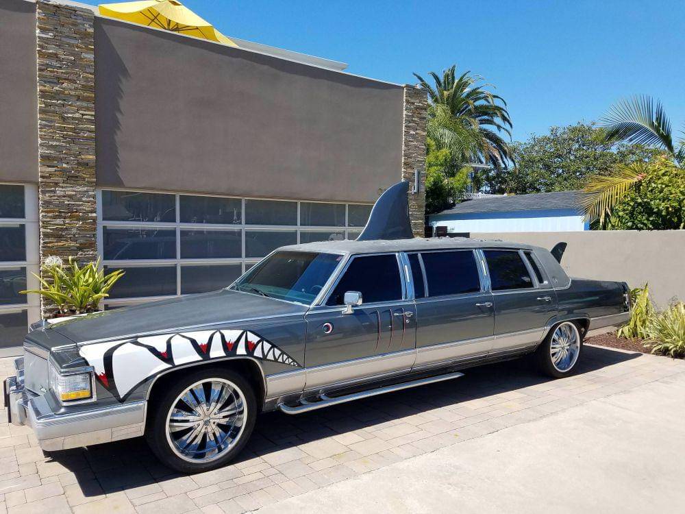 potret objek bentuk ikan hiu nyentrik (reddit.com/user/jaspersurfer)