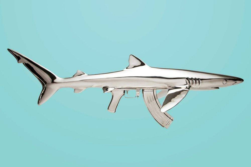 potret objek bentuk ikan hiu nyentrik (reddit.com/user/CalibanDrive)