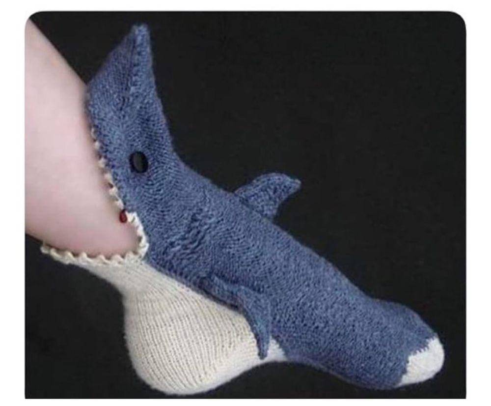 potret objek bentuk ikan hiu nyentrik (reddit.com/user/earlobecheese)