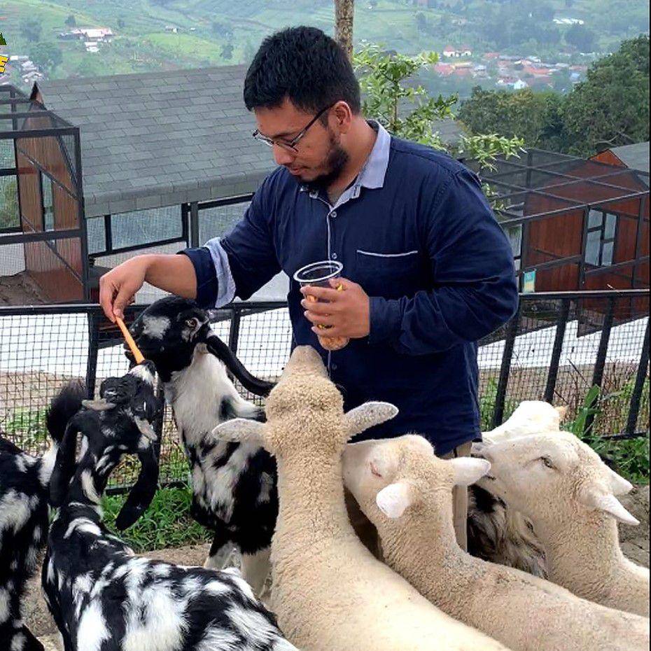 potret animal feeding di The Nice Funtastic Park (instagram.com/thenicefuntasticpark)