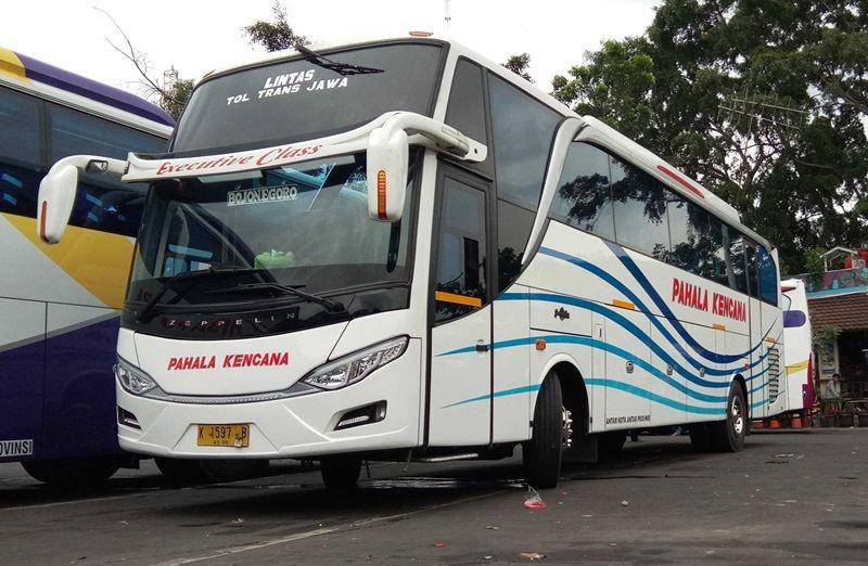 Armada bus Pahala Kencana (facebook.com/transportation.id)
