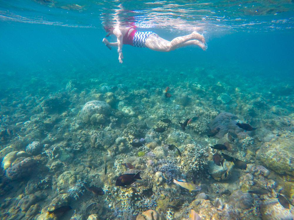 5 Perlengkapan yang Sebaiknya Kamu Bawa Saat Snorkeling