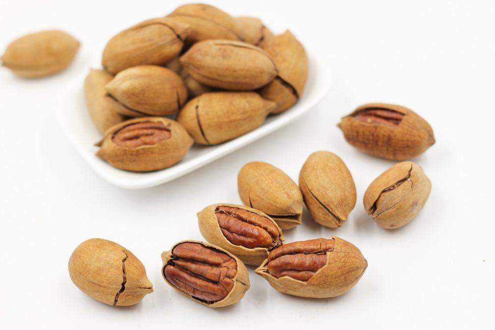 pecan (pixabay.com/tseiu)