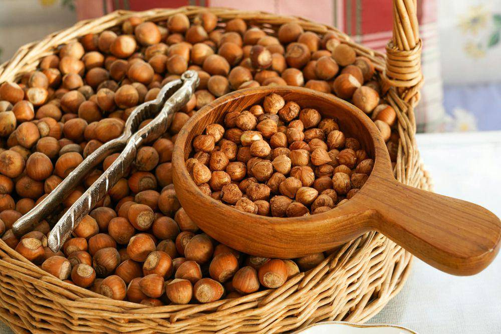 Hazelnut (pexels.com/- landsmann -)