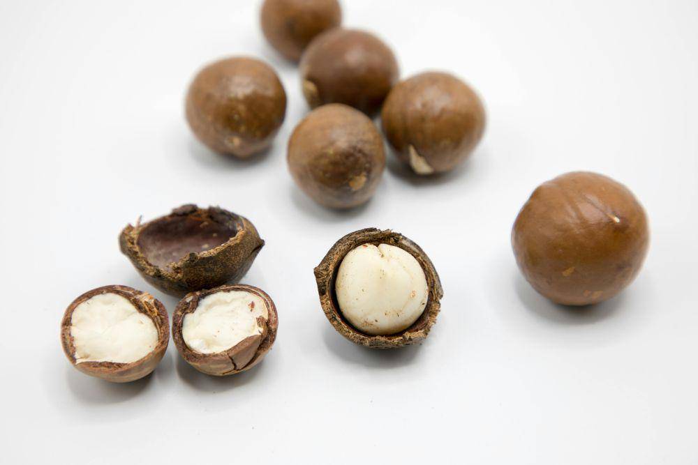 Macadamia Nuts (pexels.com/Tony Wu)