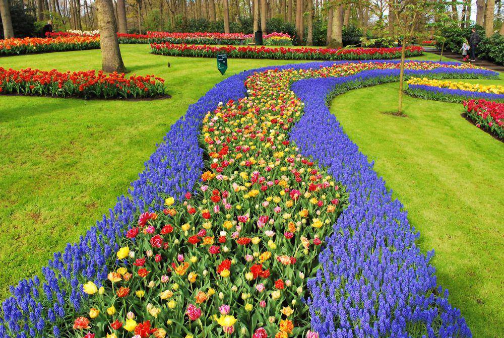 Keukenhof (unsplash.com/Boudewijn Huysmans)