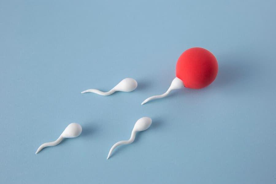 Apakah Sperma Bisa Habis Jika Dikeluarkan Terus-menerus?