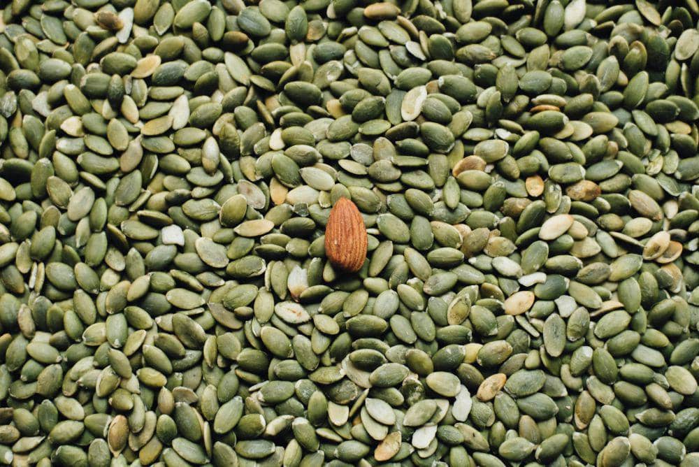 Biji labu (unsplash.com/Chuttersnap)