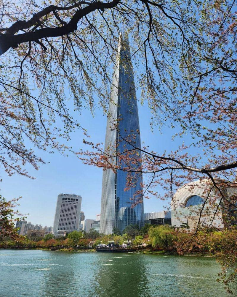 Yeouido Park (instagram.com/my.luna.219)