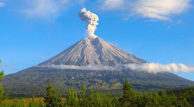 Semeru Erupsi, Masuk Level Siaga