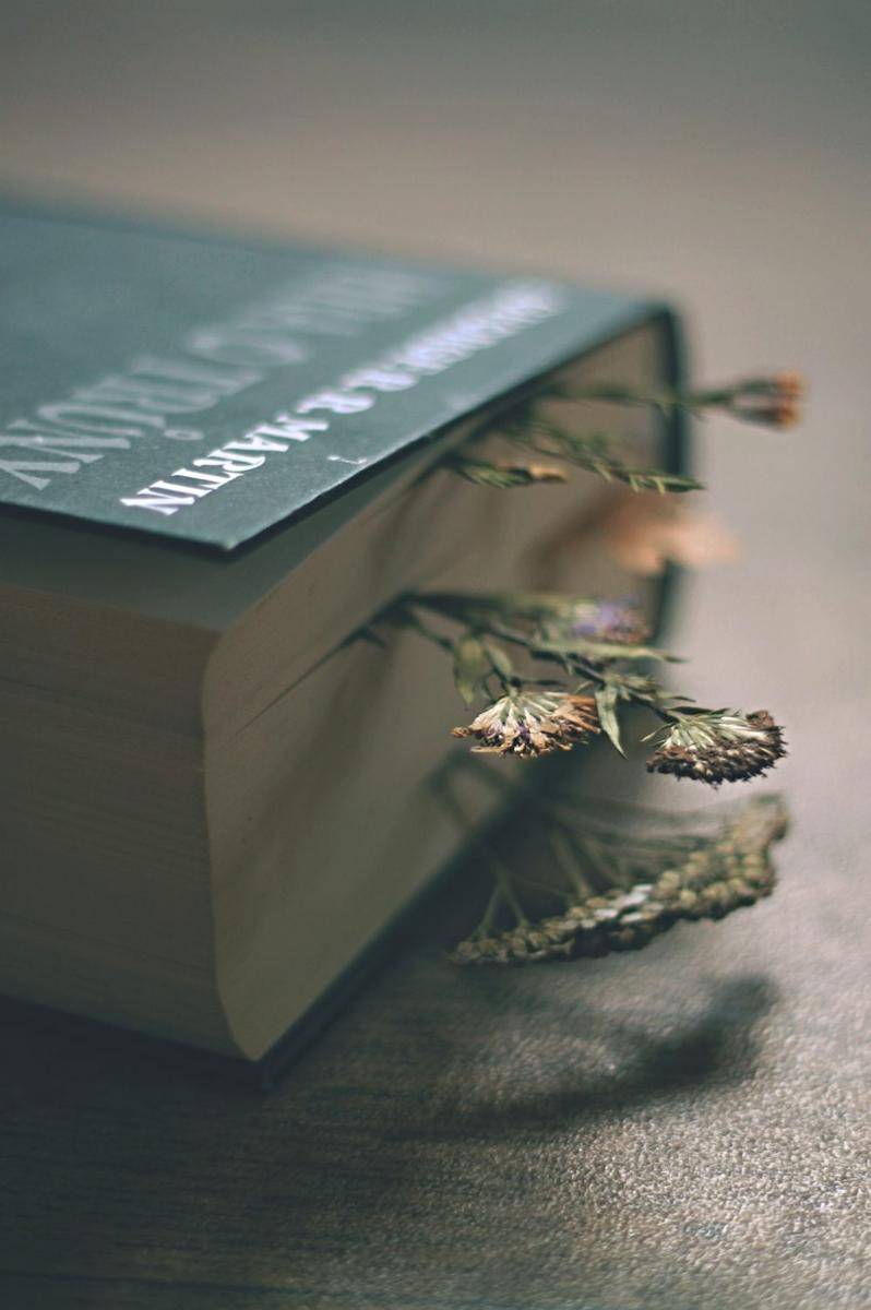 ilustrasi pembatas buku dried flower (pixabay.com/PetraSolajova)