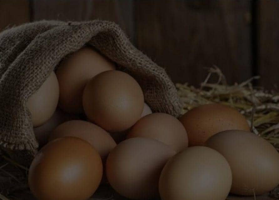 Harga telur ayam di Banjaramsin naik.