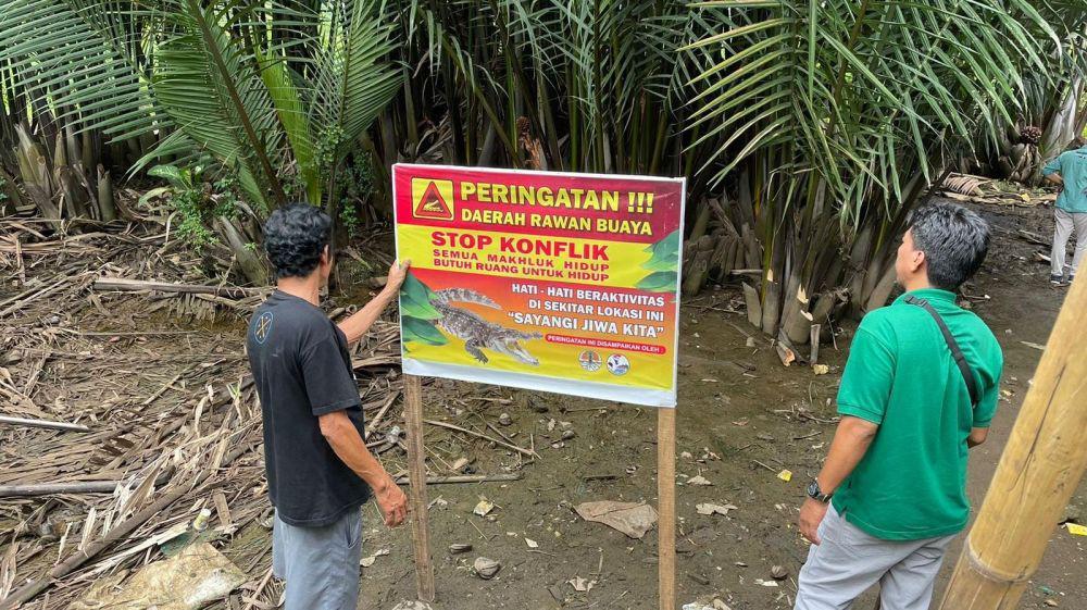 Berisiko, Tim Damkar Makassar Menolak Tangkap Buaya di Sungai Tallo