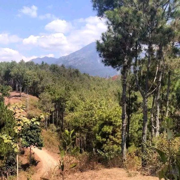 Bukit Asmara Puyangan. facebook.com/Informasi Madiun Raya