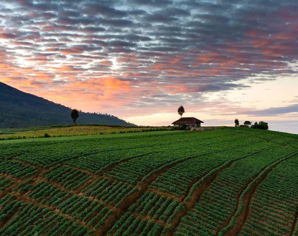 Wisata Alam Brakseng Batu: Lokasi, Harga, Aktivitas Seru, dan Tips