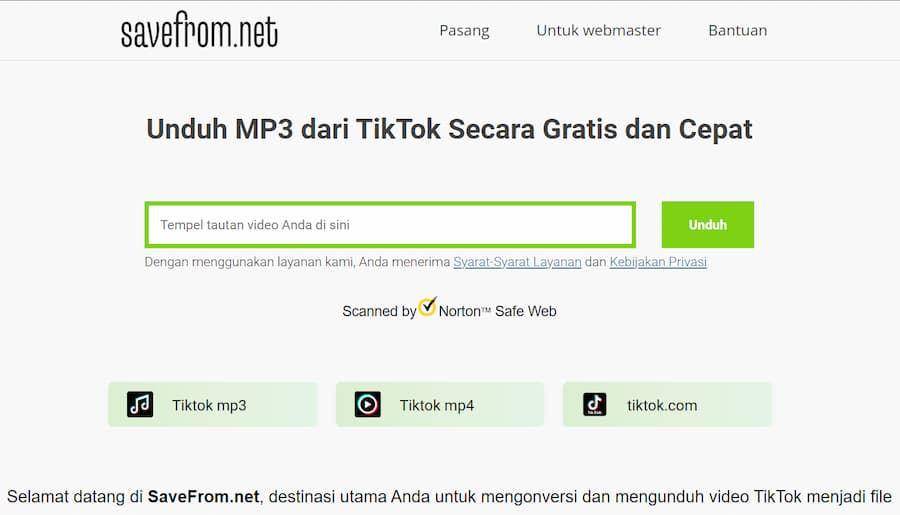 ilustrasi situs unduh suara dari TikTok (dok. Save From Net)