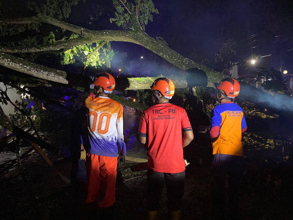 Petugas memotong pohon roboh di Trenggalek. IDN Times/ istimewa