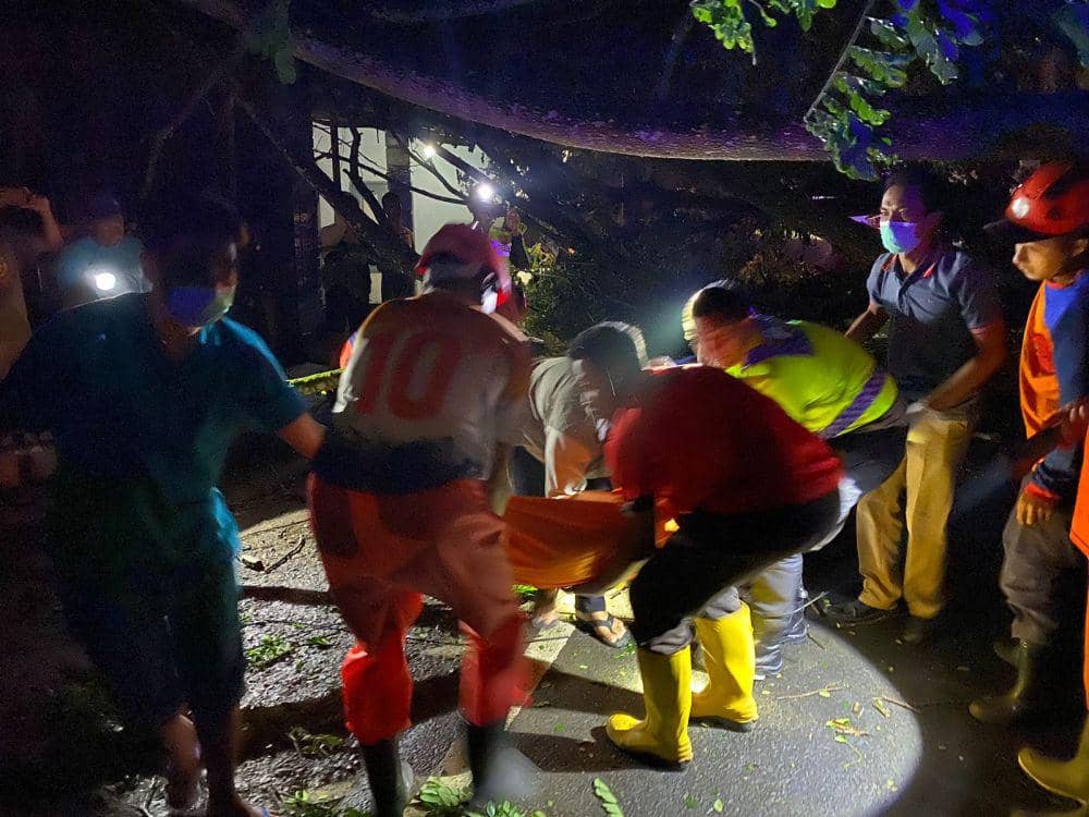 Petugas mengevakuasi korban yang tertimpa pohon roboh di Trenggalek. IDN Times/ istimewa