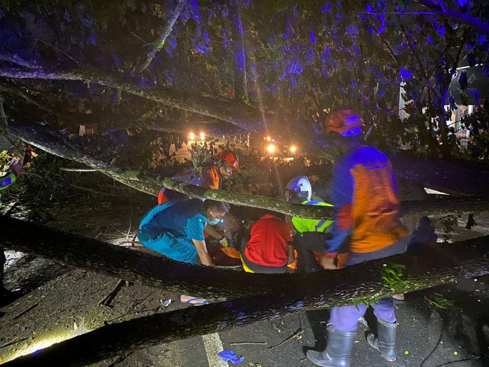 Petugas mengevakuasi korban yang tertimpa pohon roboh di Trenggalek. IDN Times/ istimewa