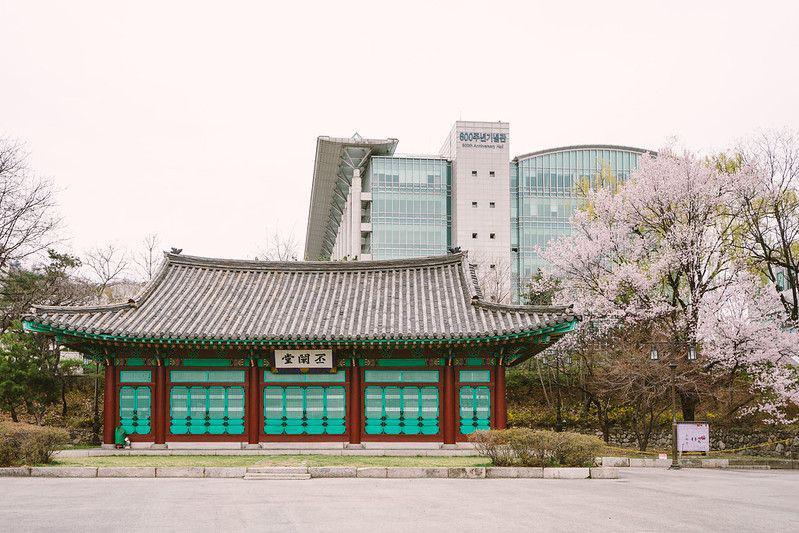10 Universitas di Korea Selatan dengan Biaya Semester Termahal