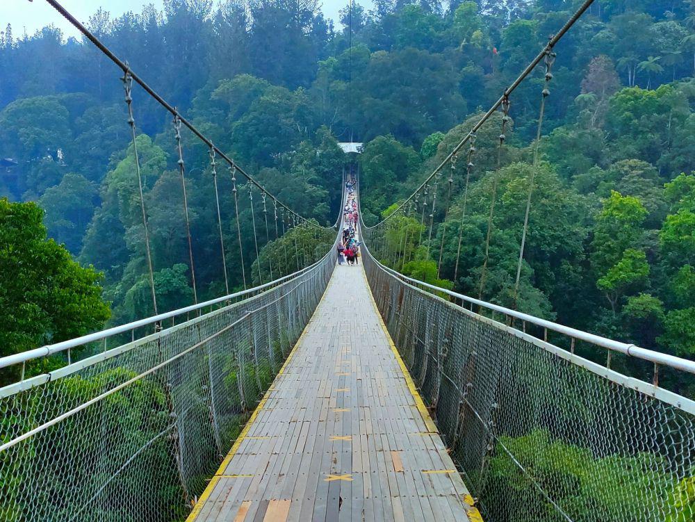 7 Daya Tarik Lembah Purba Situ Gunung Sukabumi, Wajib Dijelajahi!