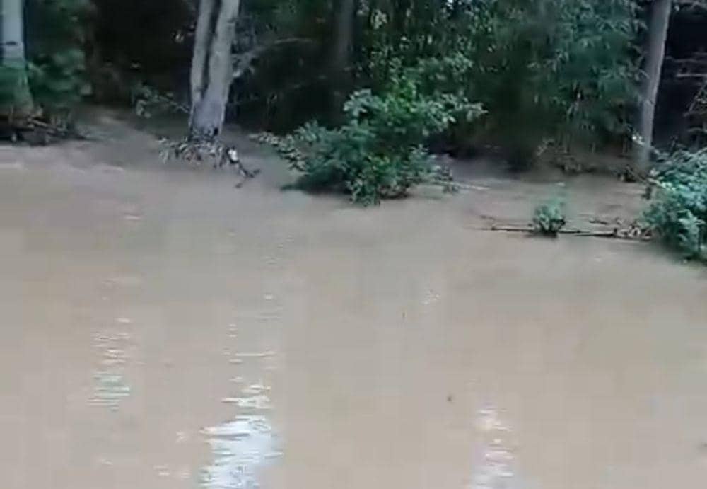 Potret banji melanda sawah milik Haryono. (IDN Times/Istimewa).