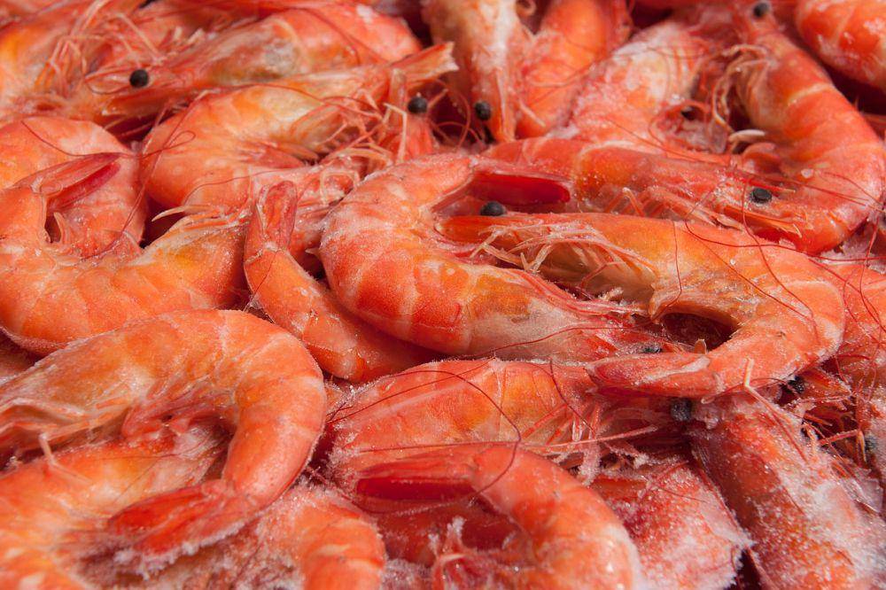 ilustrasi udang segar (pixabay.com/rob791)