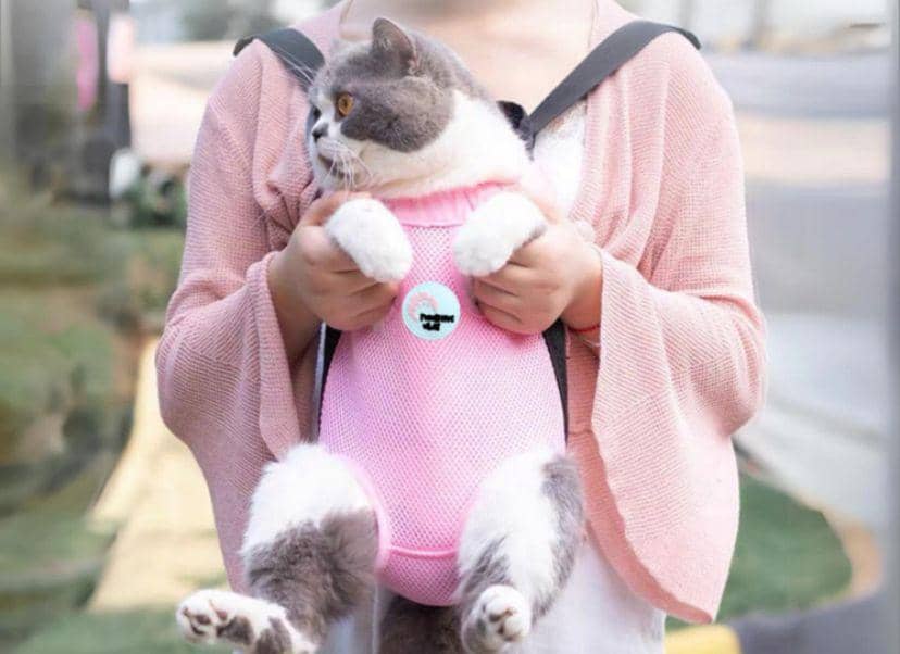 Gendongan kucing. (Instagram/pawview)