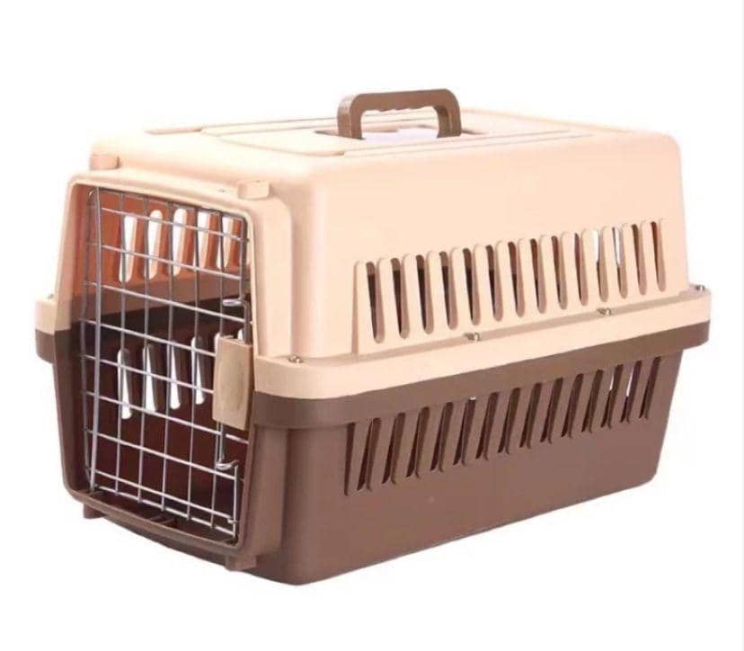 Pet Cargo. (Instagram/pet cargo)