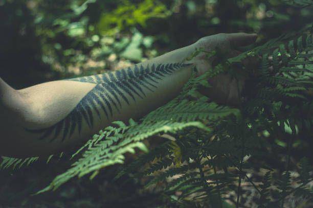 tato pakis (pexels.com/Darya Sannikova)