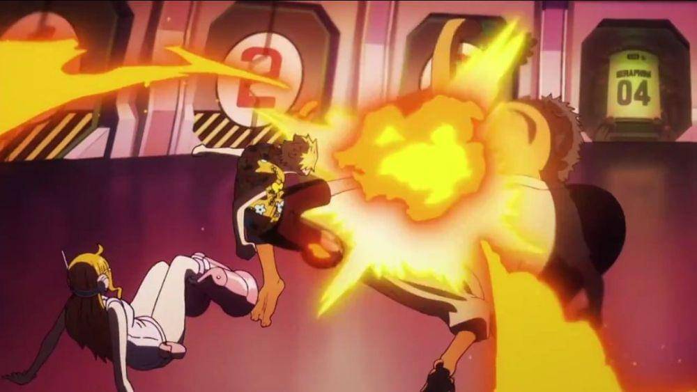 Toei Animation/One Piece