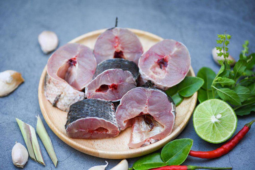 ilustrasi daging ikan (vecteezy.com/Bigc Studio)
