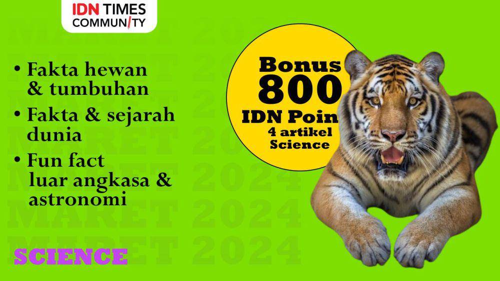 Kumpulan bonus IDN Points IDN Times Community (IDN Times/Sukma Mardya Shakti)