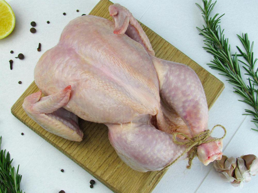 Bahaya Makan Ayam Mentah, Penuh Bakteri!