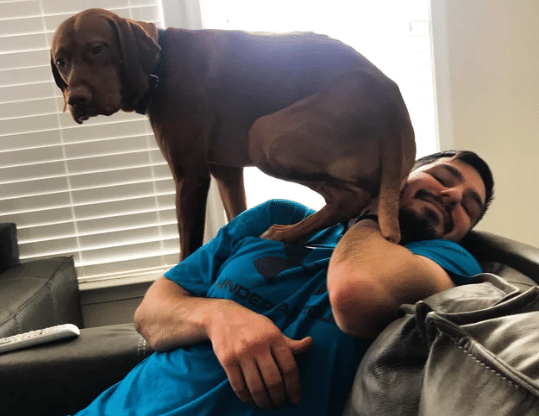 potret anjing duduk di kepala (reddit.com/mysweetvizsla)