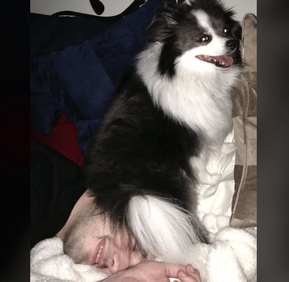 potret anjing duduk di kepala (reddit.com/TeddyP)