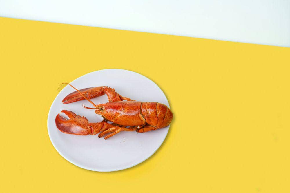ilustrasi lobster (unsplash.com/Toa Heftiba)