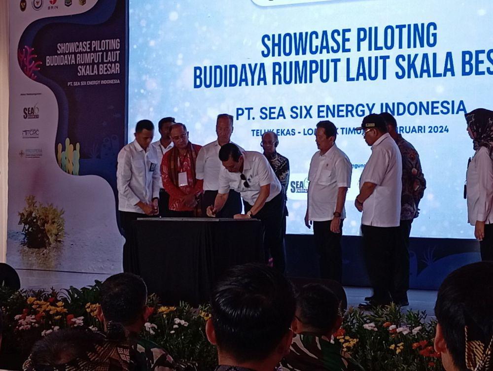 Luhut Resmikan Industri Hilirisasi Rumput Laut di Lombok