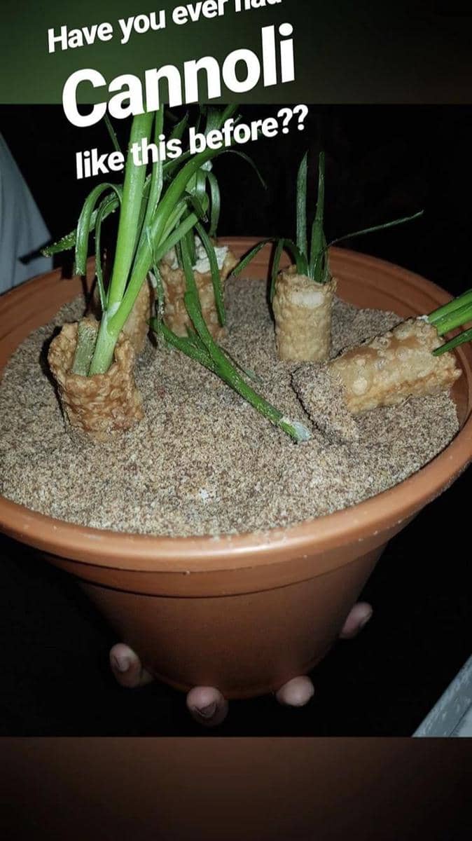 potret penyajian makanan konsep berpasir (reddit.com/user/CaleeZi)