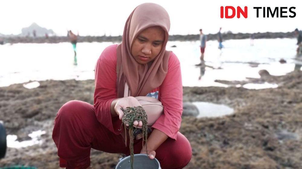 Ribuan Warga dan Turis Asing Berburu Nyale di Pantai Seger Mandalika