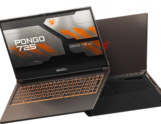 AXIOO PONGO 725 (axiooworld.com)