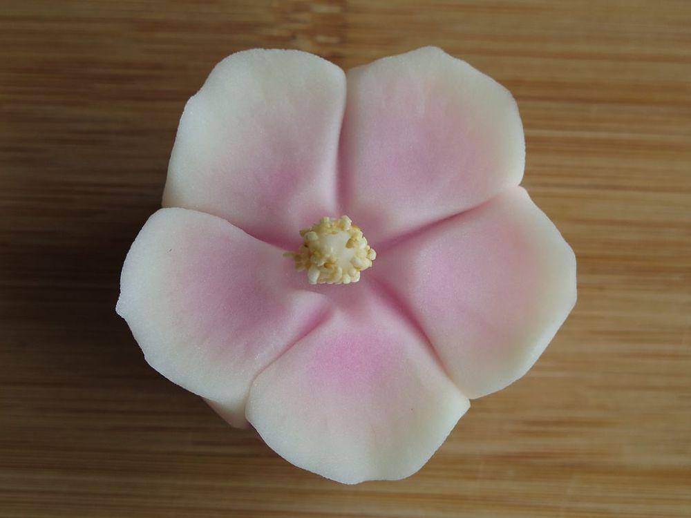 wagashi (commons.wikimedia.org/Douglas Perkins)