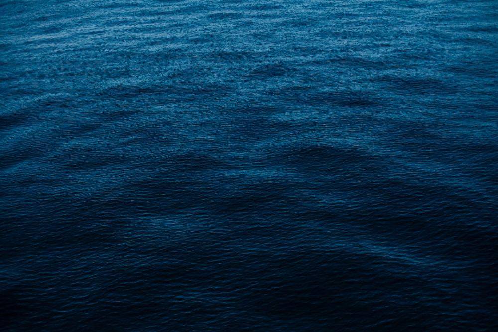 ilustrasi biru navy (pexels.com/Lisha Riabinina)