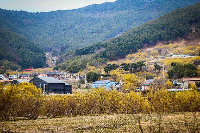 Desa Sansuyu, Icheon (dok. itsrestory.com)