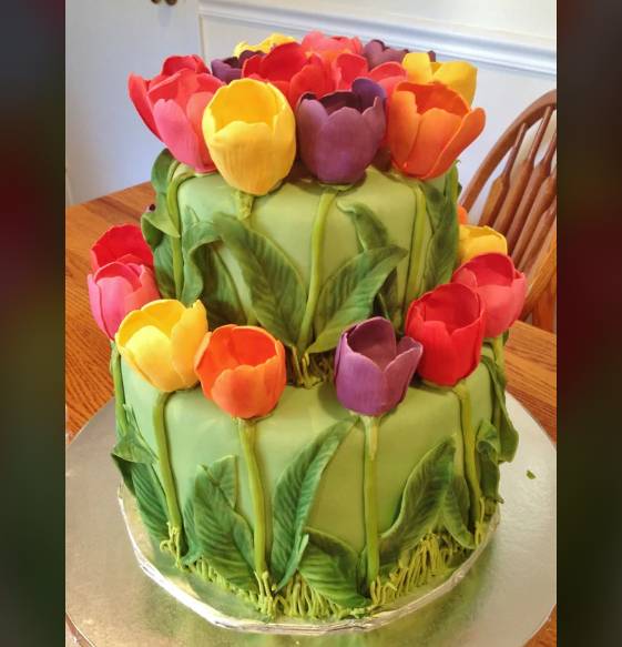 potret pernah-pernik serba tulip (reddit.com/LunaMcLovin)