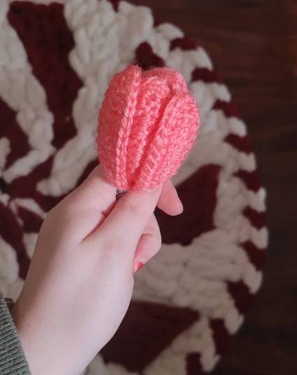 potret pernah-pernik serba tulip (reddit.com/Personal_Use3977)