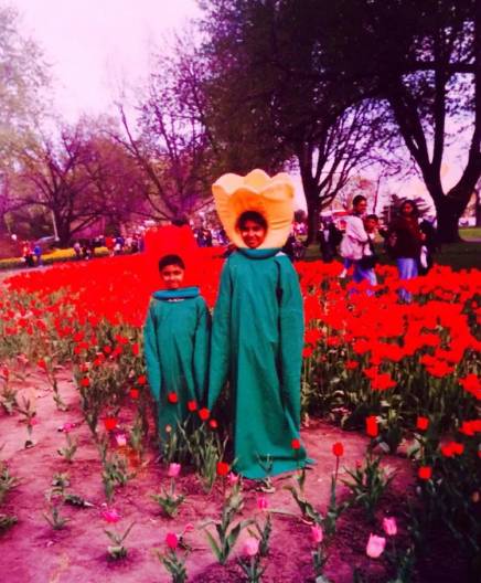 potret pernah-pernik serba tulip (reddit.com/hibiskusTown)