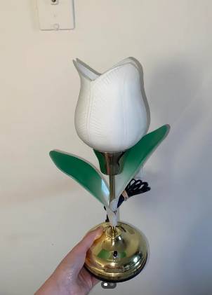 potret pernah-pernik serba tulip (reddit.com/Royal_Virus_4411)
