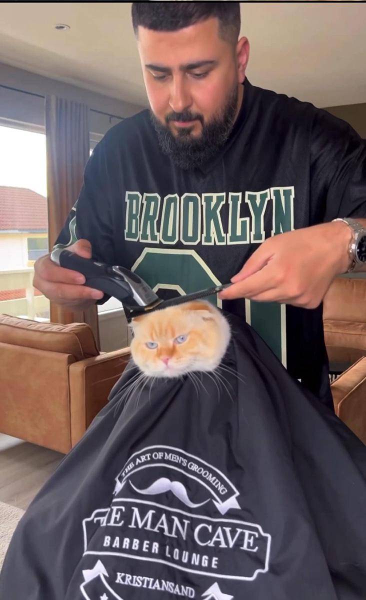 momen kocak potong rambut (reddit.com/r/blursedimages)