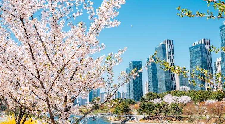 Songdo Central Park Incheon, Korea Selatan (dok. AirAsia)